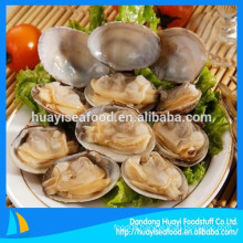 delicious frozen short necked clam ready to eat frozen short necked clam